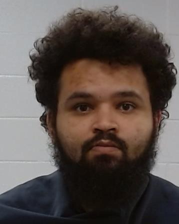 Horton, Andre Cubie booking photo