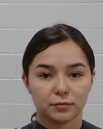 Pineda, Cindy Marisol arrested by Collin County SO