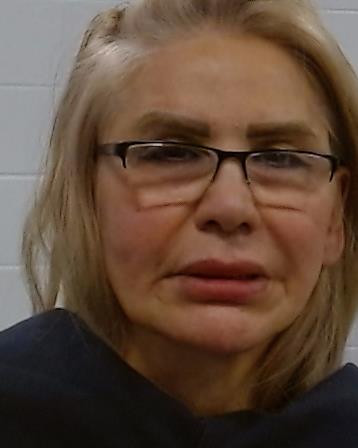 Fardad, Manizheh booking photo