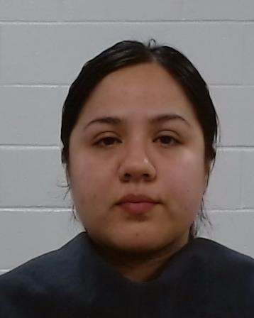 BENITEZ, JUANITA booking photo