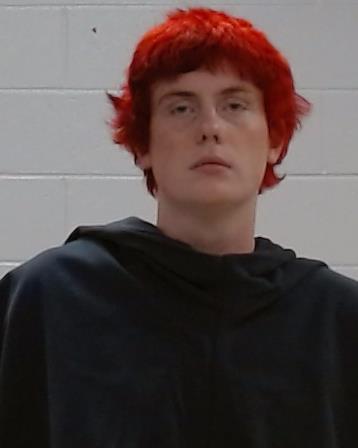 Turley, Seth Randall Robert booking photo