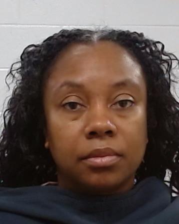 Wilkins, Jamie Nicole booking photo