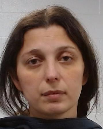 Sava, Nicolet booking photo