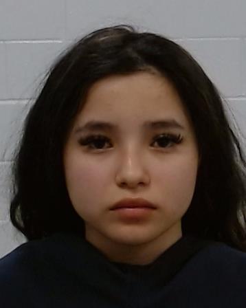 Diaz Castillo, Kimberlys Laurimar arrested by Collin County SO