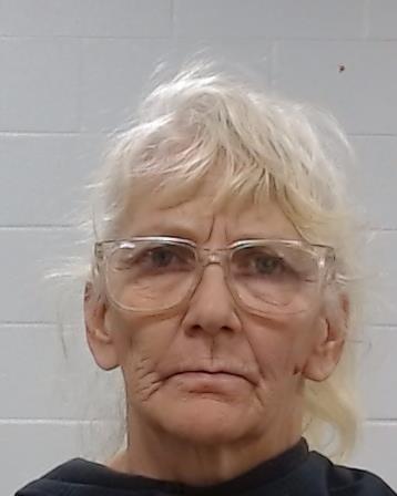 Bollier, Rhonda Faye arrested by Collin County SO