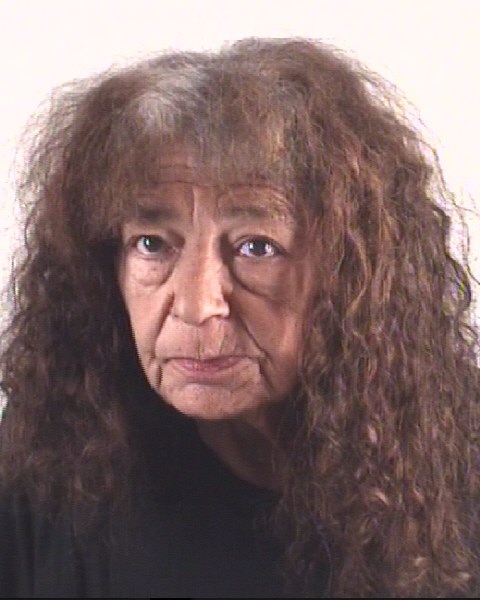 DONNA VILLALOBOS booking photo