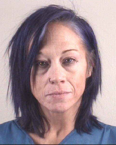 AMY LUNN booking photo