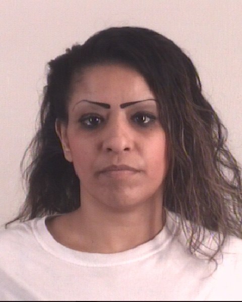 ISABEL GUTIERREZ booking photo