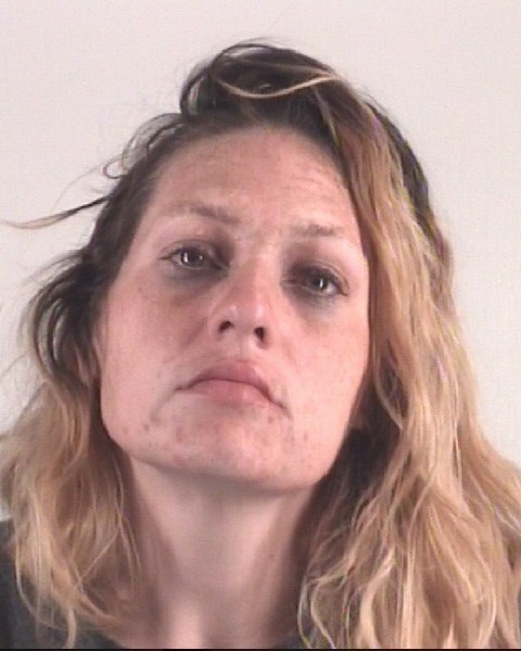 LESLIE AMASON booking photo