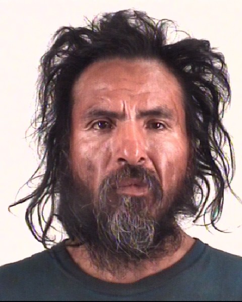 HECTOR FLORESMENDOZA booking photo