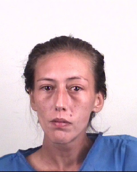 BRIANA GONZALES booking photo