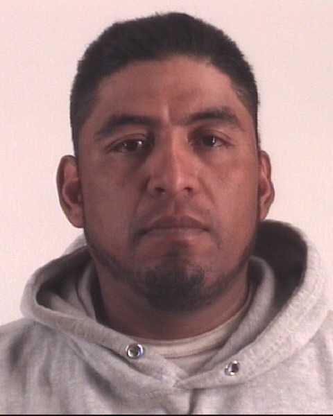 JORGE PADILLAVELOZ booking photo