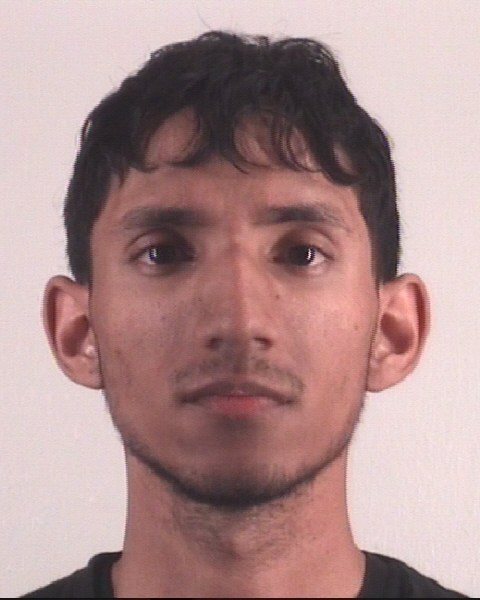 CARLOS BLANCOPALMARES booking photo