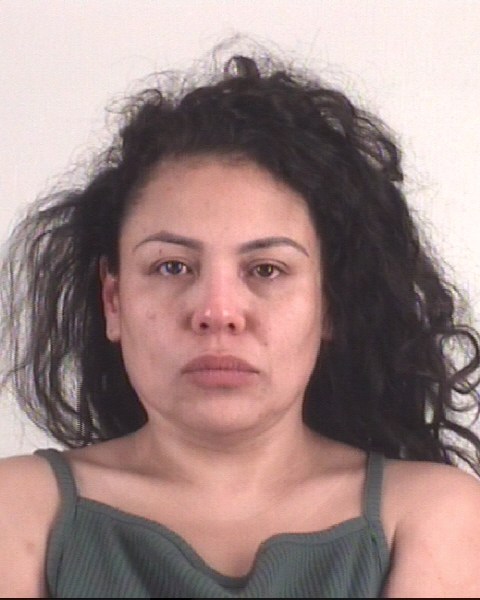 SUE HINOJOSA booking photo
