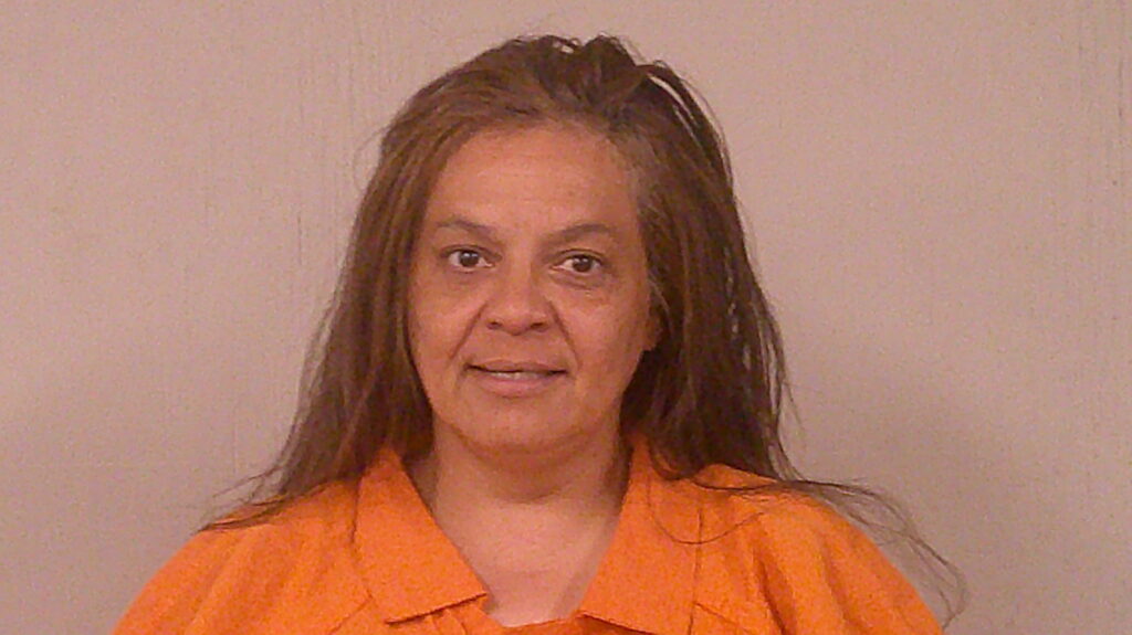 JOWERS, MARY JO arrested in Burnet County, Texas mugshot