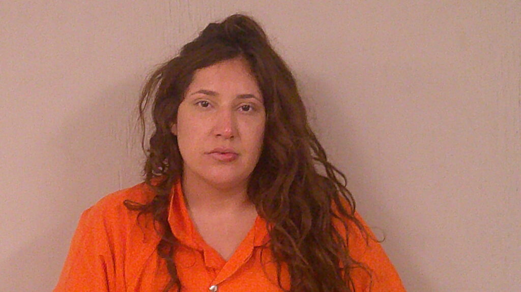 JOHNSON, BRITTANY arrest record in Burnet County, Texas JOHNSON, BRITTANY arrested in Burnet County, Texas mugshot