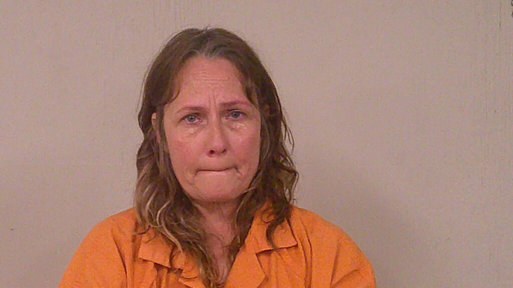 PARSONS, LAURA MICHELLE arrest record in Burnet County, Texas PARSONS, LAURA MICHELLE arrested in Burnet County, Texas mugshot