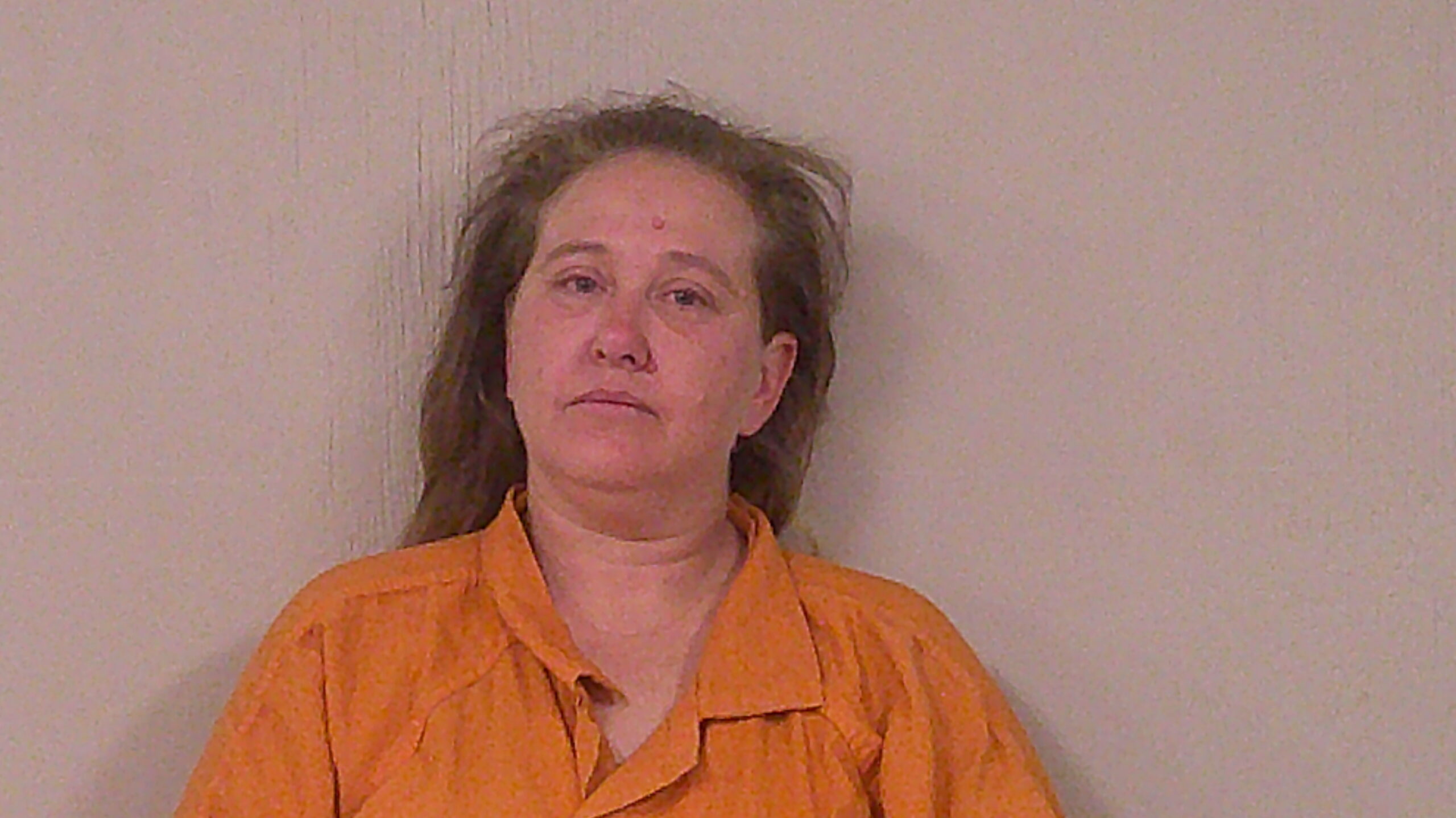 BURLESON, SHELLY LEE booking photo