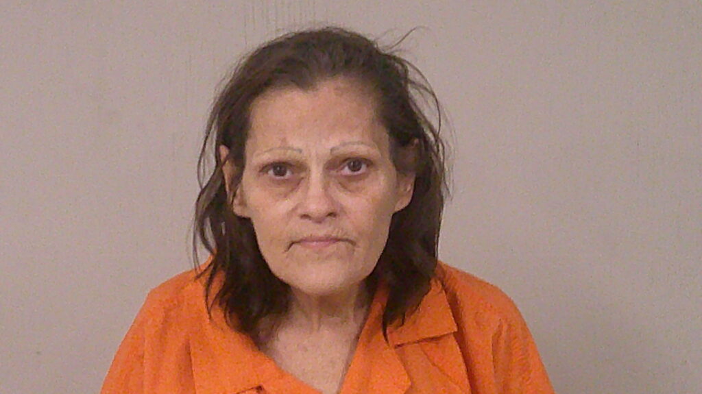 WESTFALL, JANINE ALLISON arrested in Burnet County, Texas mugshot