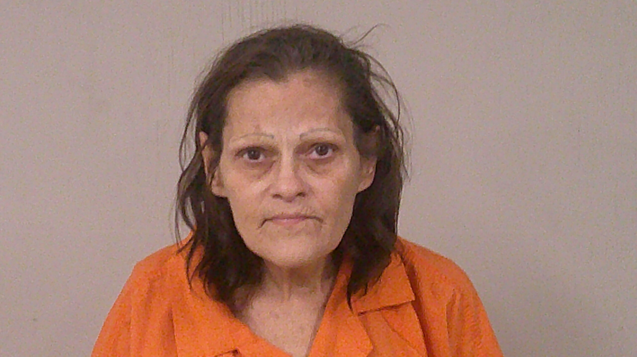 WESTFALL, JANINE ALLISON booking photo