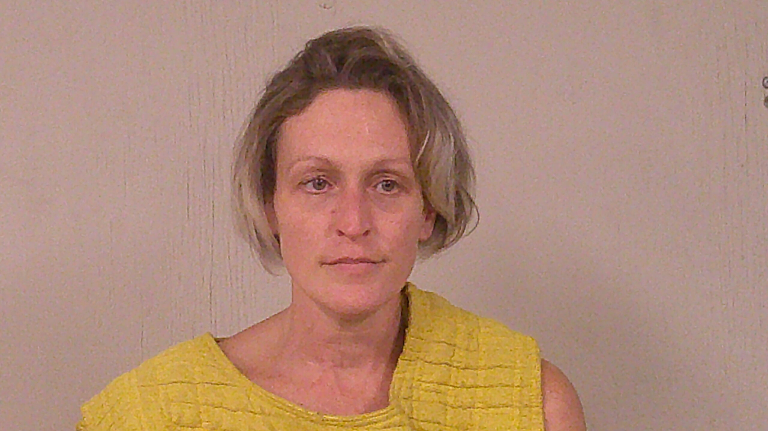 VAN-NAME, JAIME LEE booking photo