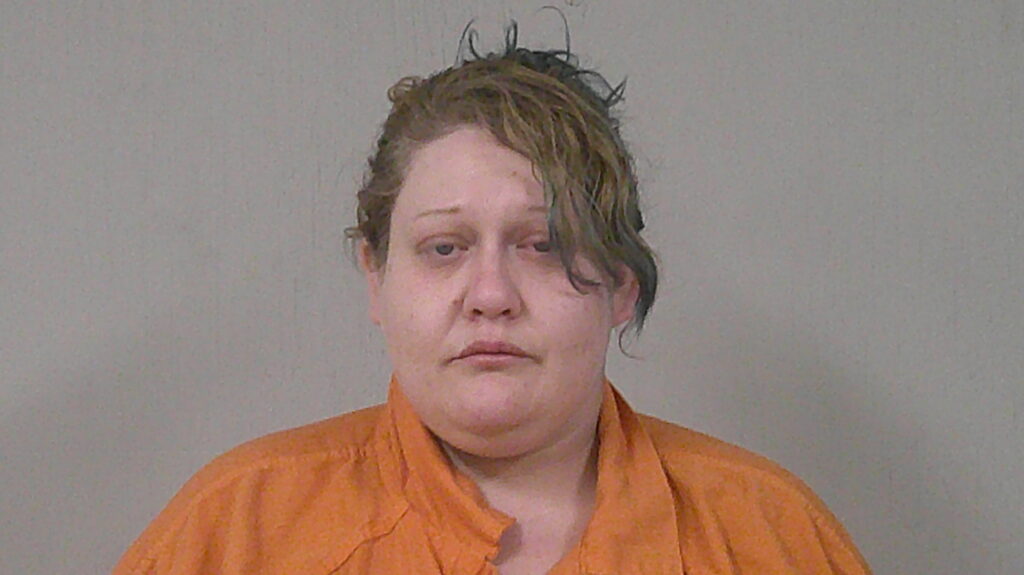 ELL, AMBER CHRISTINE arrest record in Burnet County, Texas ELL, AMBER CHRISTINE arrested in Burnet County, Texas mugshot