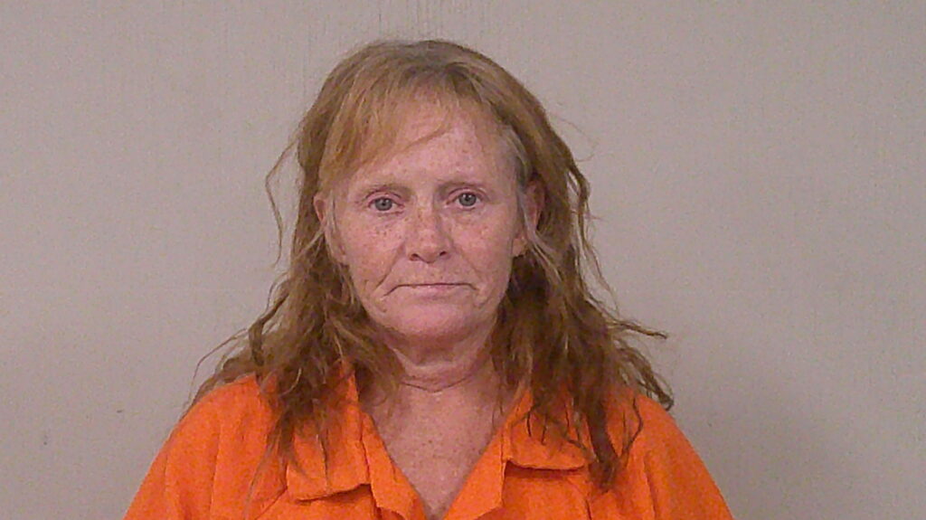 MALONE, TERRI LYNN arrest record in Burnet County, Texas MALONE, TERRI LYNN arrested in Burnet County, Texas mugshot