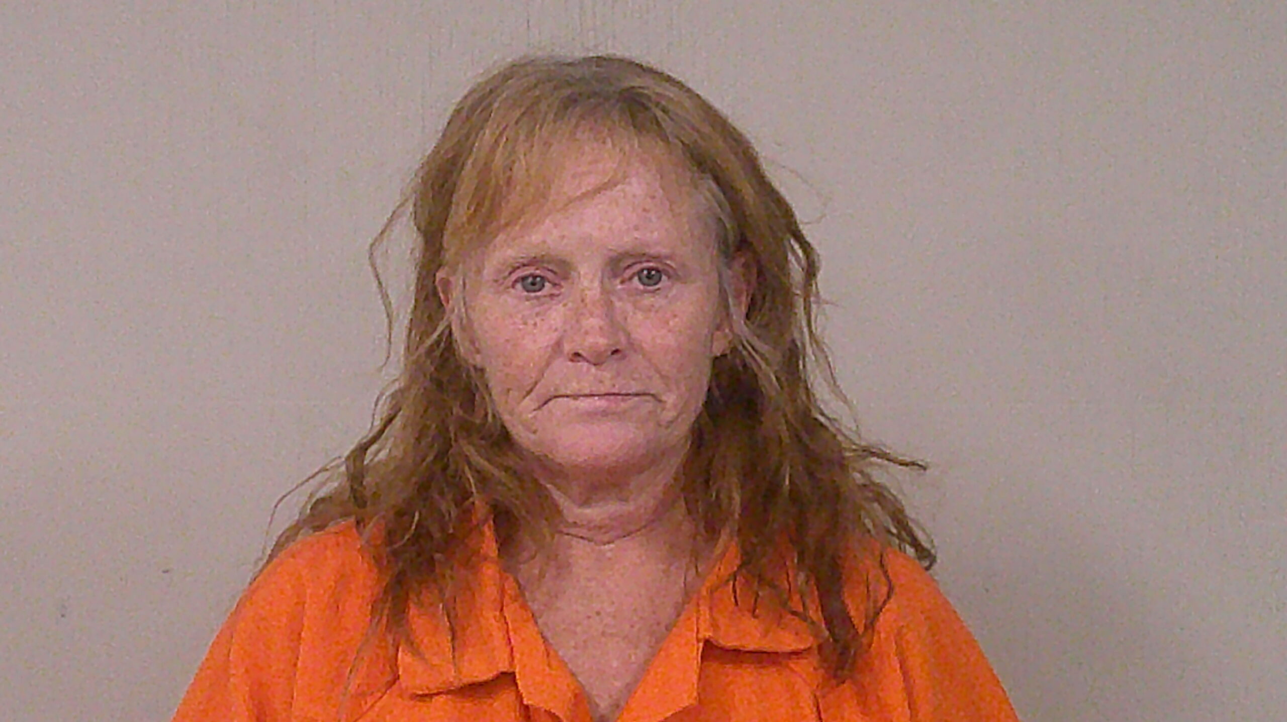 MALONE, TERRI LYNN arrested by Burnet Police Department