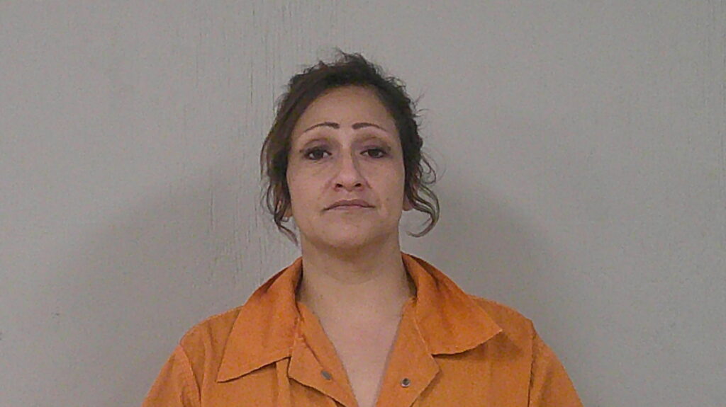 SILVA, JEANNETTE NEGRETE arrested in Burnet County, Texas mugshot