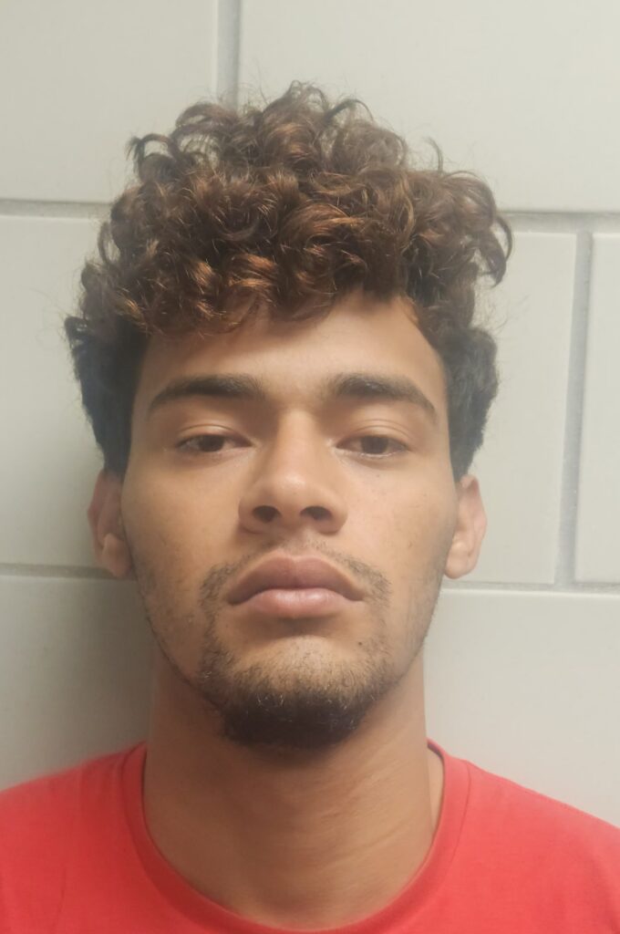 HERRERA-SANCHEZ, AXEL arrested in Burnet County, Texas mugshot