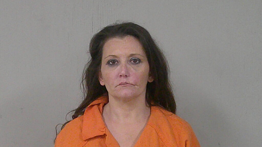 OBANAN, CECILIA LORENE arrested in Burnet County, Texas mugshot