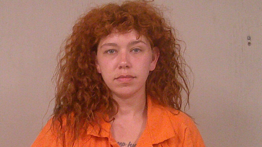 PARSONS, ALEXIS VICTORIA arrest record in Burnet County, Texas PARSONS, ALEXIS VICTORIA arrested in Burnet County, Texas mugshot