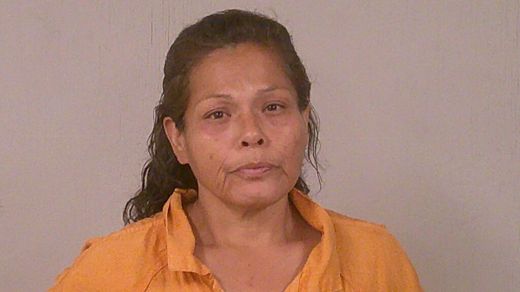 LERMA, ALICE MARIE arrest record in Burnet County, Texas LERMA, ALICE MARIE arrested in Burnet County, Texas mugshot