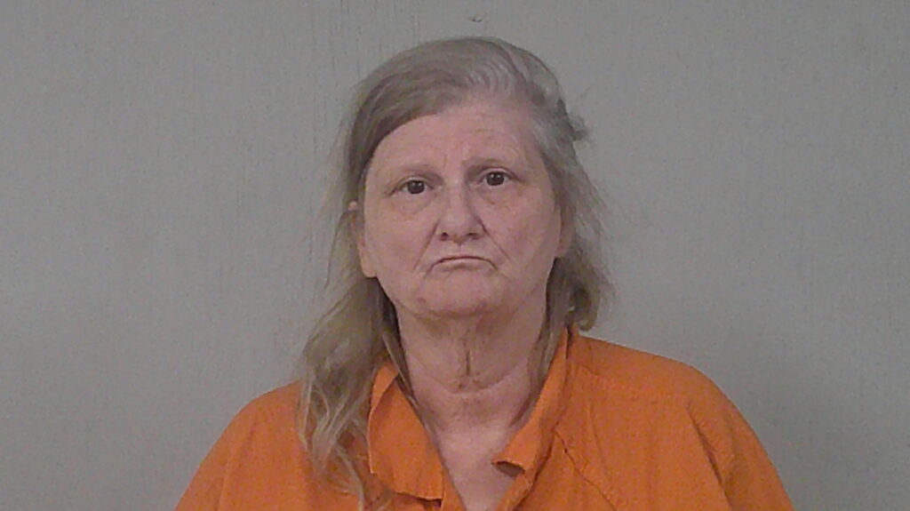 LESHER, TERRI LAVONNE arrested in Burnet County, Texas mugshot