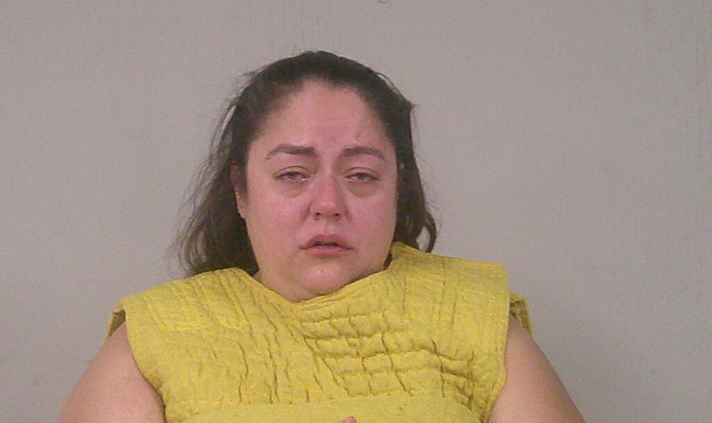 JOHNSON, STEPHANIE NICOLE arrested in Burnet County, Texas mugshot