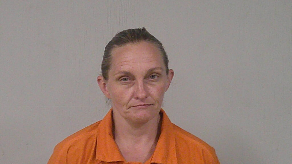 HAAS, STEPHANIE RENEE arrested in Burnet County, Texas mugshot