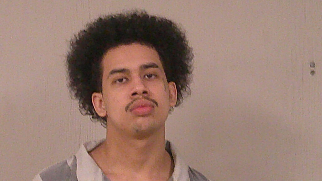 TELULE-OVIEDO, EDAURDO arrested in Burnet County, Texas mugshot