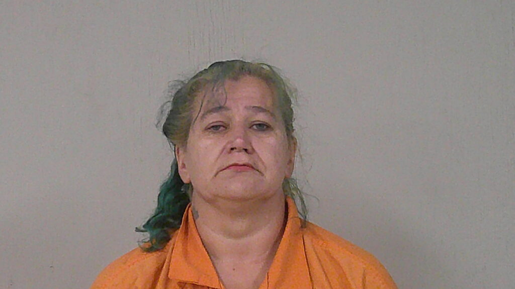 BROOKHOUSER, PAULA ELIZABETH arrested in Burnet County, Texas mugshot