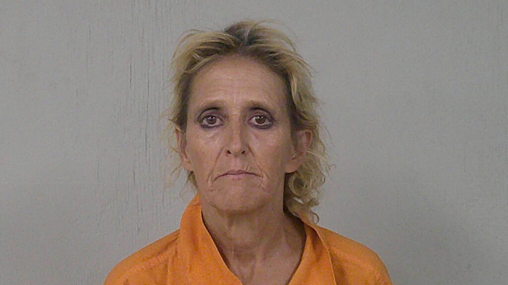 GREENVILLE, THERESA ANN arrest record in Burnet County, Texas GREENVILLE, THERESA ANN arrested in Burnet County, Texas mugshot