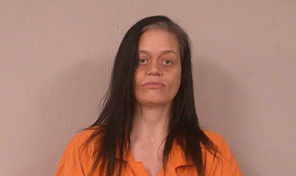LAESSIG, JESSICA NICOLE arrest record in Burnet County, Texas LAESSIG, JESSICA NICOLE arrested in Burnet County, Texas mugshot