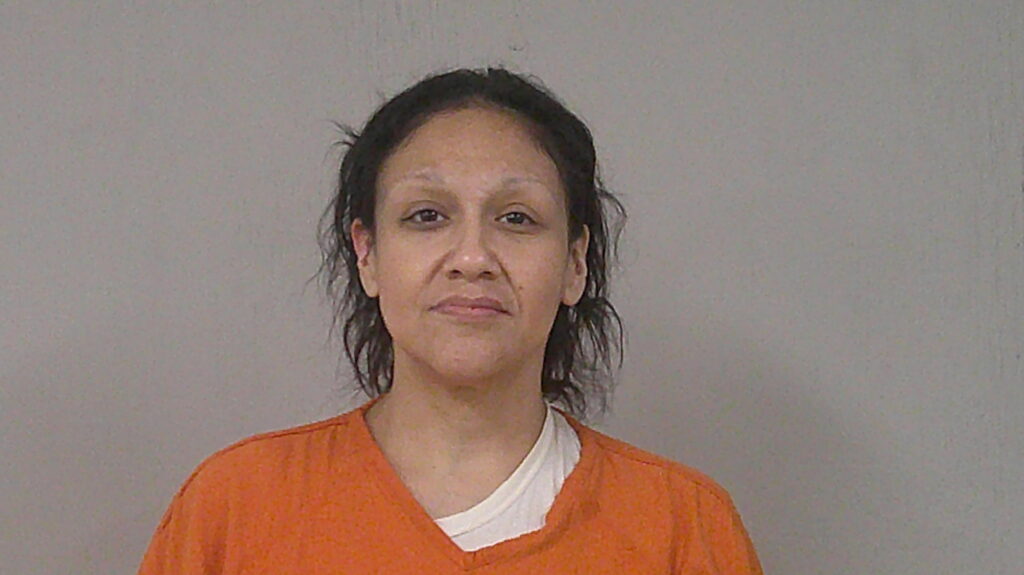 SILVA, JULIE ANN arrest record in Burnet County, Texas SILVA, JULIE ANN arrested in Burnet County, Texas mugshot