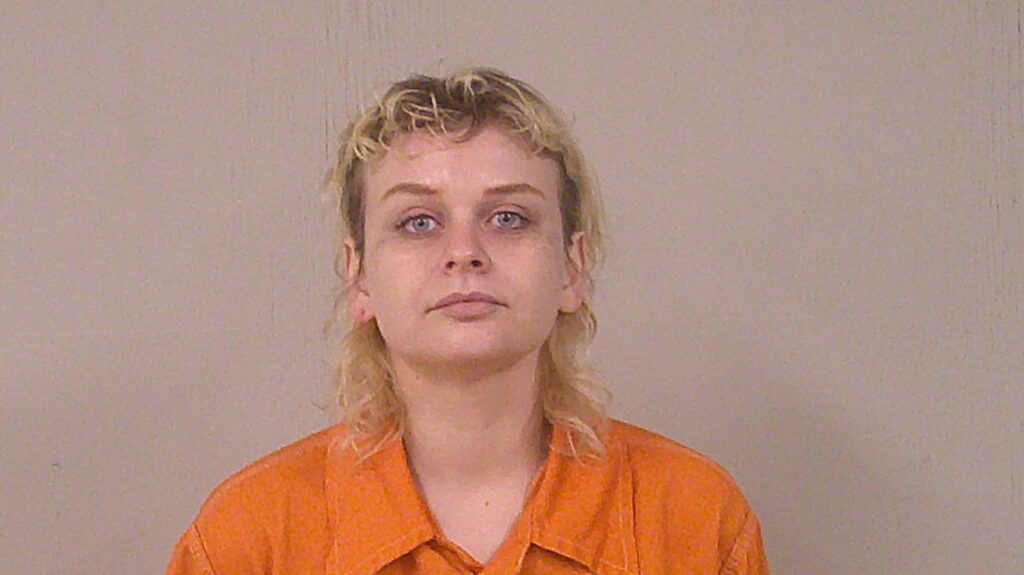 THOMPSON, LEA MARIE arrested in Burnet County, Texas mugshot