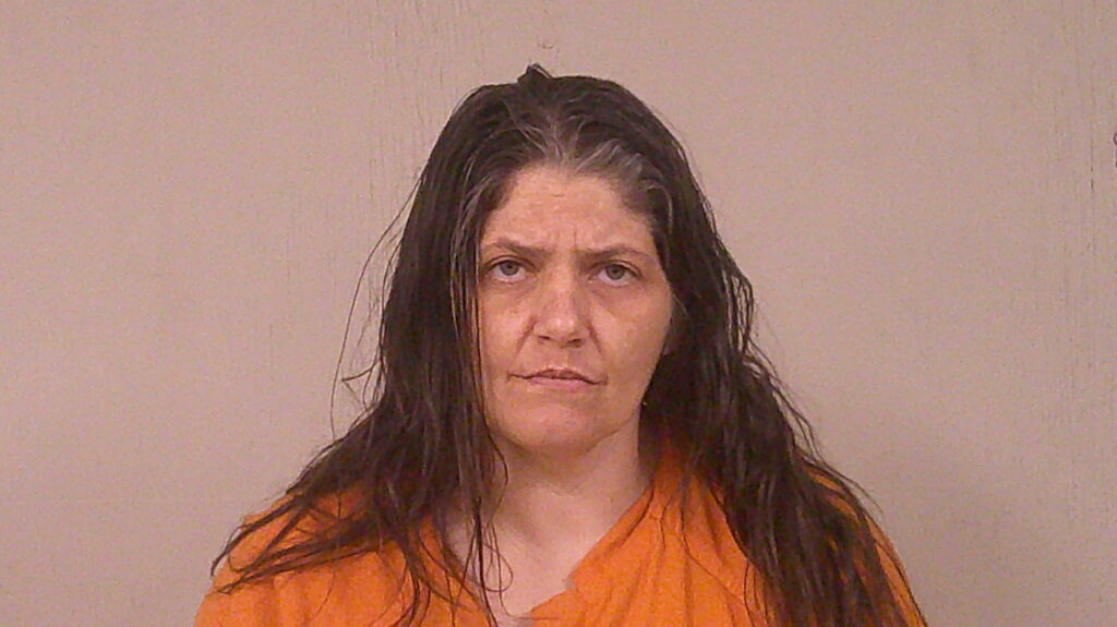 LATRONICA, ROXANNE JEAN arrested in Burnet County, Texas mugshot