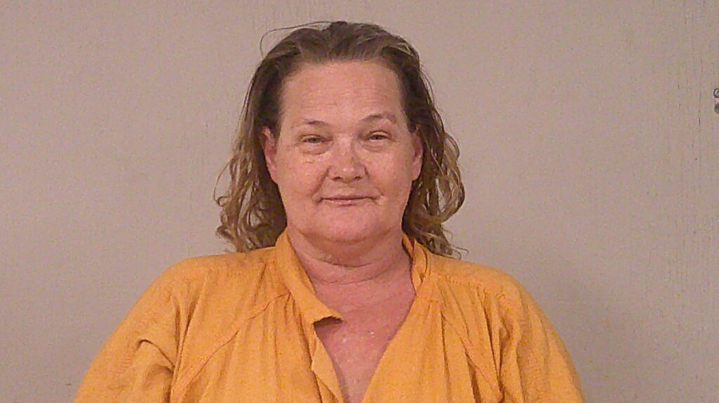 PURCELL, ELIZABETH KATHLEEN arrested in Burnet County, Texas mugshot