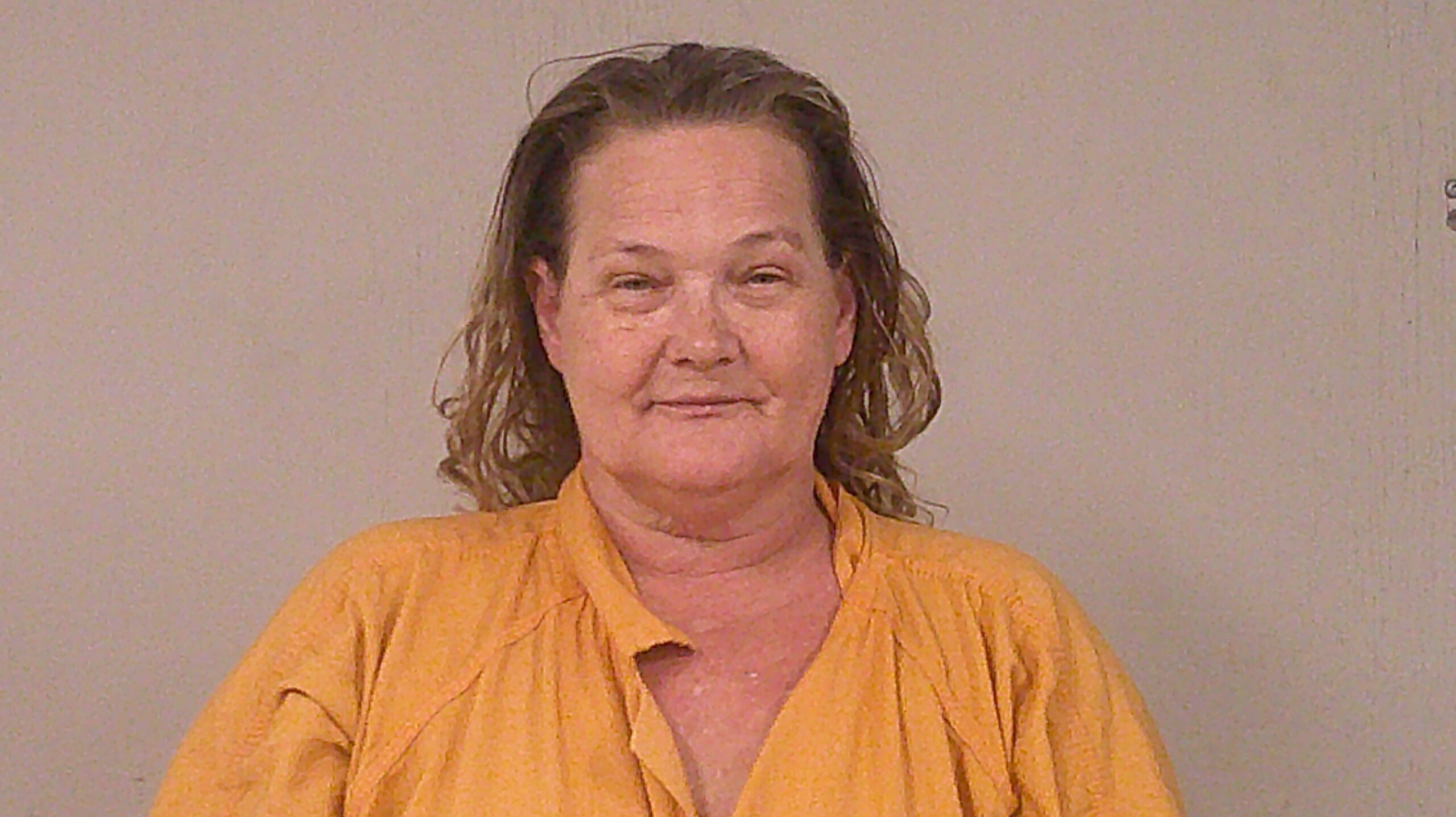 PURCELL, ELIZABETH KATHLEEN arrested by Burnet Police Department
