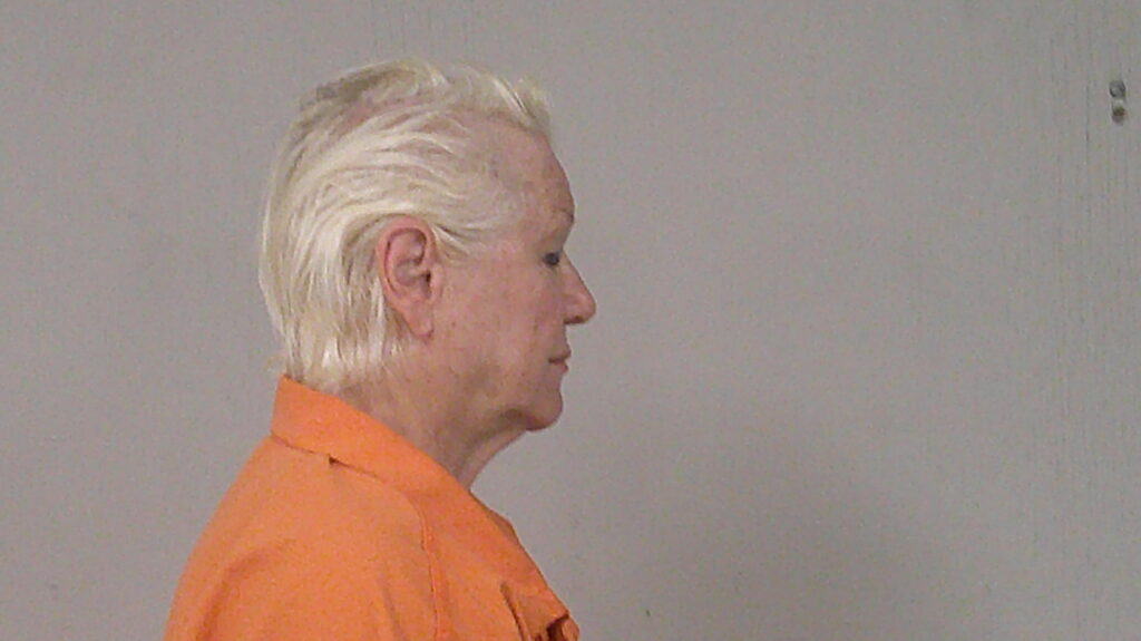 RINGER, JANET ADELE arrest record in Burnet County, Texas RINGER, JANET ADELE arrested in Burnet County, Texas mugshot