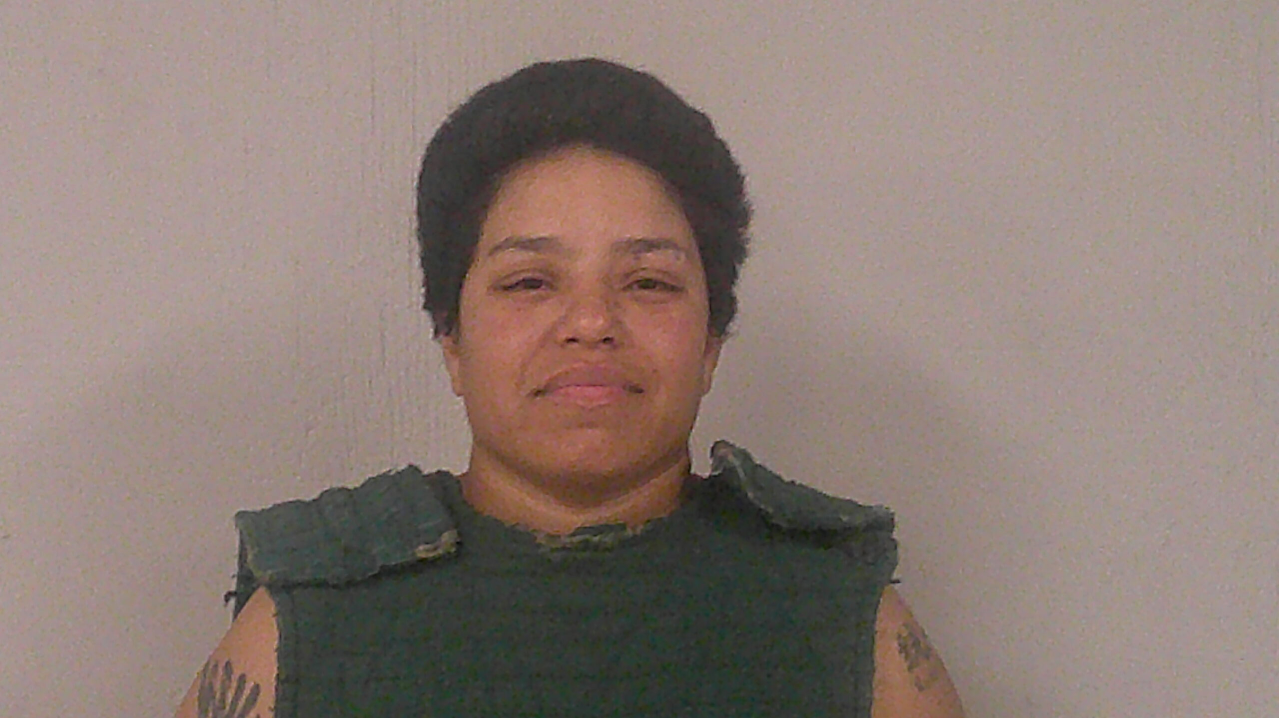 CANALES, BRENDA ASHLEY arrested by Burnet Police Department