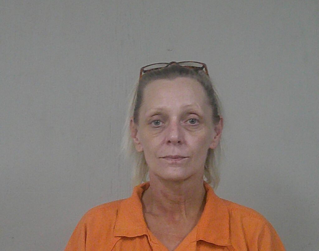 PALMER, HANNE KRISTIN arrest record in Burnet County, Texas PALMER, HANNE KRISTIN arrested in Burnet County, Texas mugshot