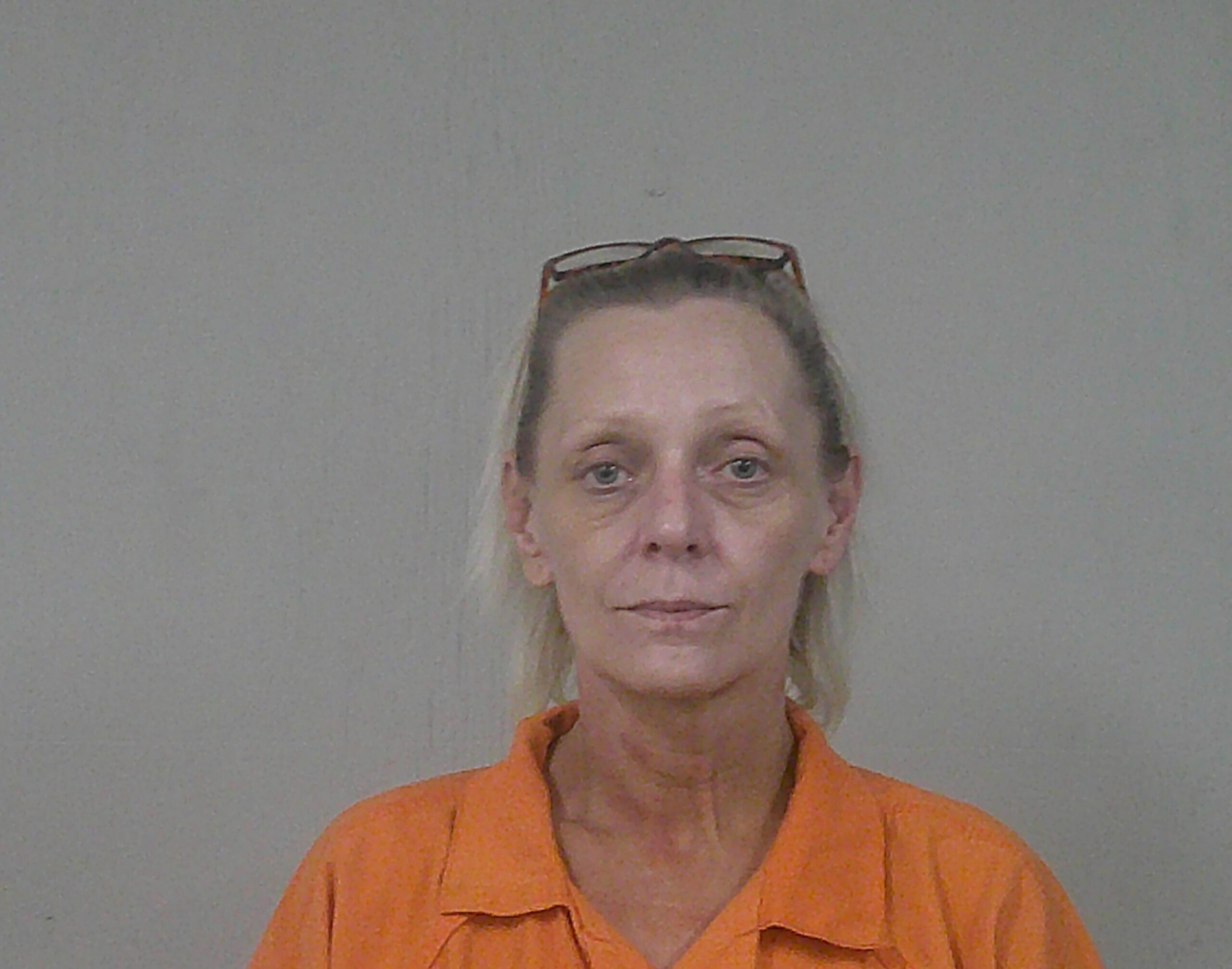 PALMER, HANNE KRISTIN arrested by Burnet County Sheriff’s Office
