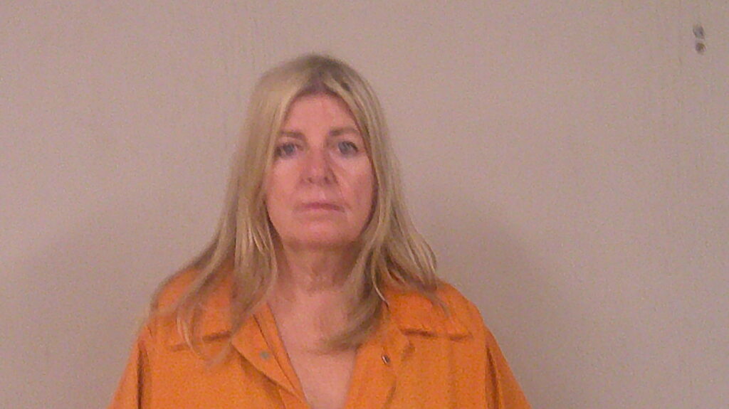 RILEY, DIANA LIN arrest record in Burnet County, Texas RILEY, DIANA LIN arrested in Burnet County, Texas mugshot